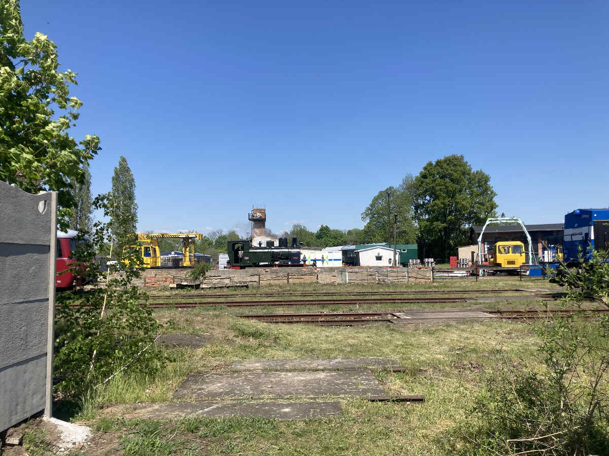 Großes Foto